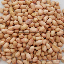 Round Type Peanut Kernel Pink Color